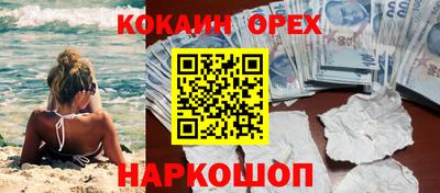 шишки Абакан