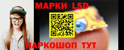 шишки Абакан