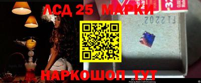 шишки Абакан