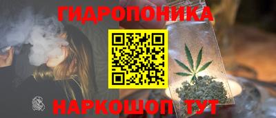 шишки Абакан