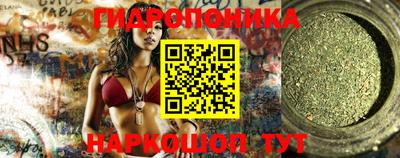 шишки Абакан