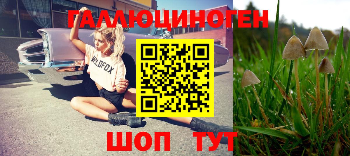 Галлюциногенные грибы MAGIC MUSHROOMS Апатиты