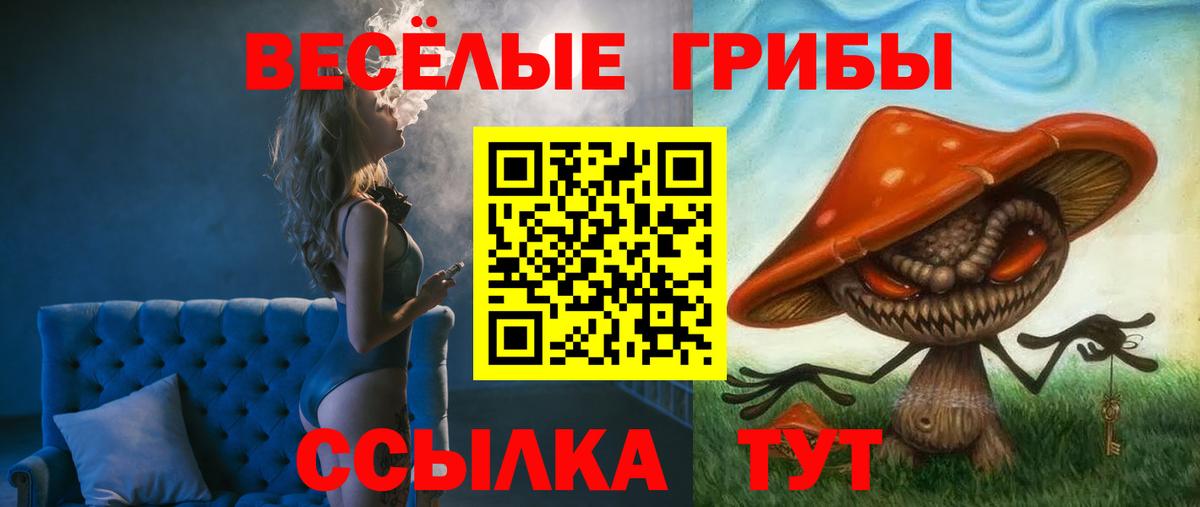 Псилоцибиновые грибы Magic Shrooms  Вход с VPN  Апатиты 